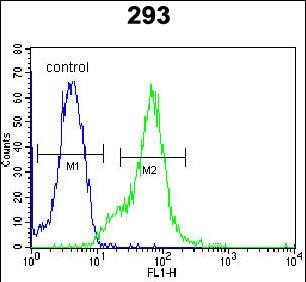 LGALS9B Antibody (Center) (Cat. #AP52471PU-N) flow cytometric analysis of 293 cells (right histogram) compared to a negative control cell (left histogram).FITC-conjugated goat-anti-rabbit secondary antibodies were used for the analysis.