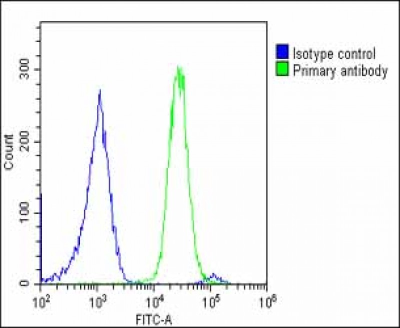 Overlay histogram showing U-2 OS cells stained with AP52509PU-N(green line).  The cells were fixed with 2% paraformaldehyde (10 min) and then permeabilized with 90% methanol for 10 min.  The cells were then icubated in 2% bovine serum albumin to block non-specific protein-protein interactions followed by the antibody (AP52509PU-N,  1:25 dilution) for 60 min at 37ºC.  The secondary antibody used was Goat-Anti-Rabbit IgG, DyLight® 488 Conjugated Highly Cross-Adsorbed(OE188374) at 1/200 dilution for 40 min at 37ºC.  Isotype control antibody (blue line) was rabbit IgG1 (1μg/1x10^6 cells) used under the same conditions.  Acquisition of >10, 000 events was performed.