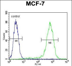 LYSMD4 Antibody (N-term) (Cat. #AP10422a) flow cytometric analysis of MCF-7 cells (right histogram) compared to a negative control cell (left histogram).FITC-conjugated goat-anti-rabbit secondary antibodies were used for the analysis.