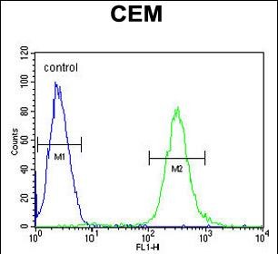 MCAF2 Antibody (Center) (Cat. #AP52629PU-N) flow cytometric analysis of CEM cells (right histogram) compared to a negative control cell (left histogram).FITC-conjugated goat-anti-rabbit secondary antibodies were used for the analysis.
