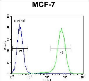 NUDT8 Antibody (N-term) (Cat. #AP52965PU-N) flow cytometric analysis of MCF-7 cells (right histogram) compared to a negative control cell (left histogram).FITC-conjugated goat-anti-rabbit secondary antibodies were used for the analysis.