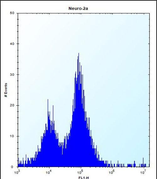PEX14 Antibody (Center) (Cat. #AP53260PU-N) flow cytometric analysis of Neuro-2a cells (right histogram) compared to a negative control cell (left histogram).FITC-conjugated donkey-anti-rabbit secondary antibodies were used for the analysis.