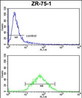 PXMP4 Antibody (Center) (Cat.#AP9180c) FC analysis of ZR-75-1 cells (bottom histogram) compared to a negative control cell (top histogram). FITC-conjugated goat-anti-rabbit secondary antibodies were used for the analysis.