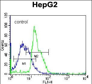 RPL15 Antibody (N-term) (Cat. #AP12772a) flow cytometric analysis of K562 cells (right histogram) compared to a negative control cell (left histogram).FITC-conjugated donkey-anti-rabbit secondary antibodies were used for the analysis.