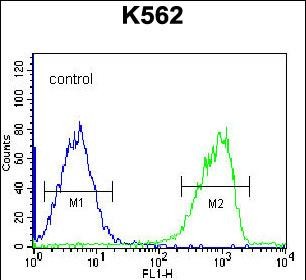 S3TC1 Antibody (C-term) (Cat. #AP53784PU-N) flow cytometric analysis of K562 cells (right histogram) compared to a negative control cell (left histogram).FITC-conjugated goat-anti-rabbit secondary antibodies were used for the analysis.