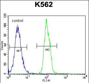 SFRP4 Antibody (C-term) (Cat. #AP53875PU-N) flow cytometric analysis of K562 cells (right histogram) compared to a negative control cell (left histogram).FITC-conjugated goat-anti-rabbit secondary antibodies were used for the analysis.