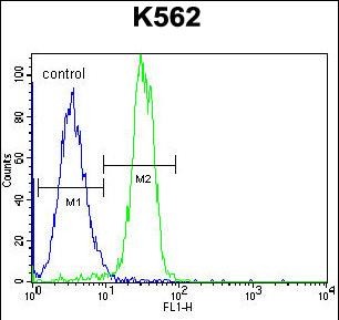 STARD6 Antibody (C-term) (Cat. #AP54069PU-N) flow cytometric analysis of K562 cells (right histogram) compared to a negative control cell (left histogram).FITC-conjugated goat-anti-rabbit secondary antibodies were used for the analysis.