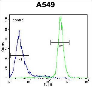 WFDC12 Antibody (C-term) (Cat. #AP54561PU-N) flow cytometric analysis of A549 cells (right histogram) compared to a negative control cell (left histogram).FITC-conjugated goat-anti-rabbit secondary antibodies were used for the analysis.