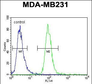 ZSWIM6 Antibody (C-term) (Cat. #AP54741PU-N) flow cytometric analysis of MDA-MB231 cells (right histogram) compared to a negative control cell (left histogram).FITC-conjugated goat-anti-rabbit secondary antibodies were used for the analysis.