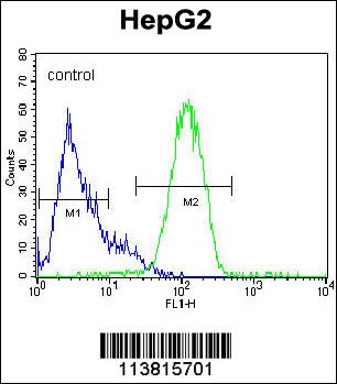 NANOG Antibody (N-term) (Cat. #AP1486a) flow cytometric analysis of HepG2 cells (right histogram) compared to a negative control (left histogram).FITC-conjugated goat-anti-rabbit secondary antibodies were used for the analysis.