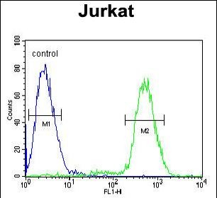 PPP1R3A Antibody (Center) (Cat. #AP10676c) flow cytometric analysis of Jurkat cells (right histogram) compared to a negative control cell (left histogram).FITC-conjugated goat-anti-rabbit secondary antibodies were used for the analysis.
