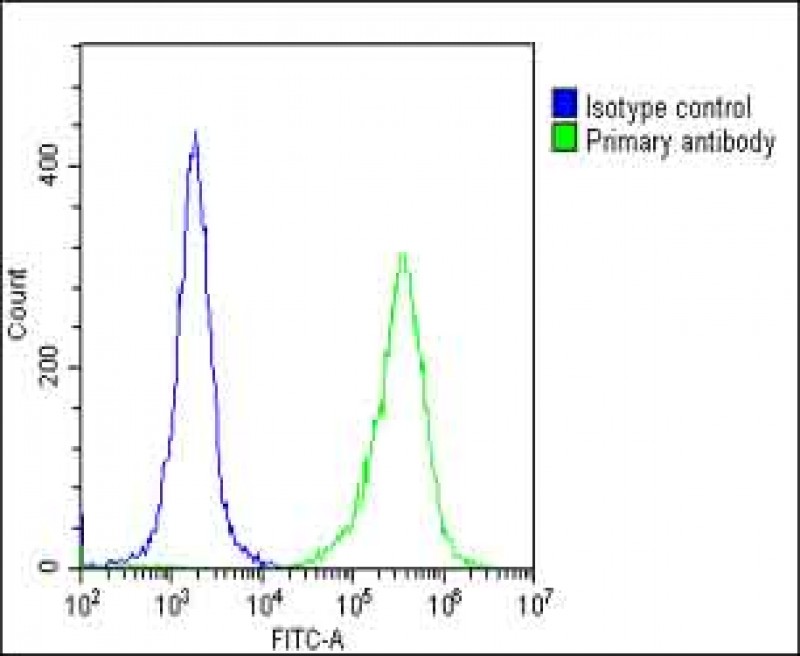 Overlay histogram showing HeLa cells stained with AP10693A(green line).  The cells were fixed with 2% paraformaldehyde (10 min) and then permeabilized with 90% methanol for 10 min.  The cells were then icubated in 2% bovine serum albumin to block non-specific protein-protein interactions followed by the antibody (AP10693A,  1:25 dilution) for 60 min at 37ºC.  The secondary antibody used was Goat-Anti-Rabbit IgG, DyLight® 488 Conjugated Highly Cross-Adsorbed(1583138) at 1/200 dilution for 40 min at 37ºC.  Isotype control antibody (blue line) was rabbit IgG (1μg/1x10^6 cells) used under the same conditions.  Acquisition of >10, 000 events was performed.