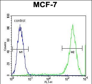 PCDH20 Antibody (Center) (Cat. #AP11655c) flow cytometric analysis of MCF-7 cells (right histogram) compared to a negative control cell (left histogram).FITC-conjugated goat-anti-rabbit secondary antibodies were used for the analysis.