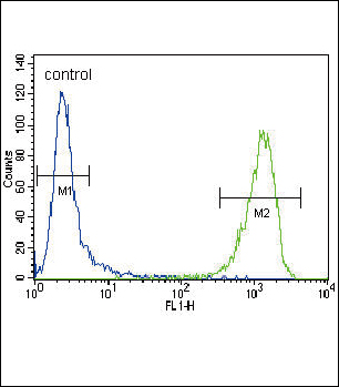 ACTA1/α-actin Antibody (C-term) (Cat. #TA324566) flow cytometric analysis of CEM cells (right histogram) compared to a negative control cell (left histogram).FITC-conjugated goat-anti-rabbit secondary antibodies were used for the analysis.