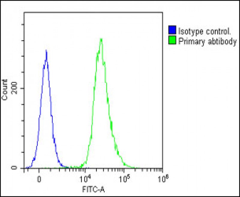 Overlay histogram showing Jurkat cells stained with AP6798c(green line).  The cells were fixed with 2% paraformaldehyde and then permeabilized with 90% methanol for 10 min.  The cells were then icubated in 2% bovine serum albumin to block non-specific protein-protein interactions followed by the antibody (1:25 dilution) for 60 min at 37ºC.  The secondary antibody used was Goat-Anti-Rabbit IgG, DyLight® 488 Conjugated Highly Cross-Adsorbed at 1/200 dilution for 40 min at Room temperature.  Isotype control antibody (blue line) was rabbit IgG1 (1μg/1x10^6 cells) used under the same conditions.  Acquisition of >10, 000 events was performed.