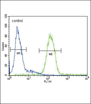 CP Antibody (Center) (Cat. #AP7340c) flow cytometric analysis of HepG2 cells (right histogram) compared to a negative control cell (left histogram).FITC-conjugated goat-anti-rabbit secondary antibodies were used for the analysis.