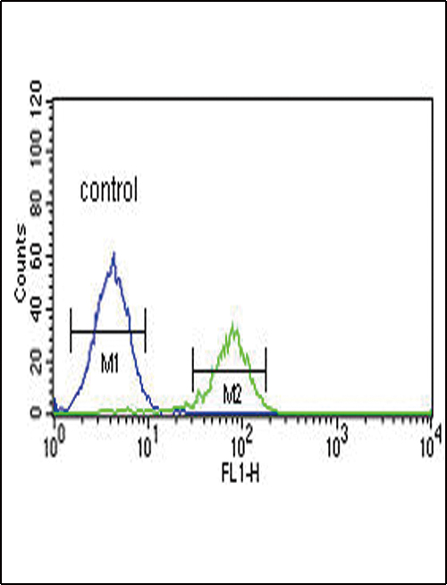 PCSK2 Antibody (N-term) (Cat. #AP7617a) flow cytometric analysis of K562 cells (right histogram) compared to a negative control cell (left histogram).FITC-conjugated goat-anti-rabbit secondary antibodies were used for the analysis.