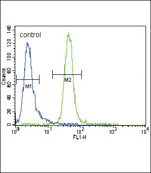 MUSK Antibody (N-term) (Cat. #AP7664a) flow cytometric analysis of CEM cells (right histogram) compared to a negative control cell (left histogram).FITC-conjugated goat-anti-rabbit secondary antibodies were used for the analysis.
