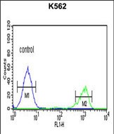 ADH7 Antibody (C-Term) (Cat. #TA325109) flow cytometric analysis of K562 cells (right histogram) compared to a negative control cell (left histogram).FITC-conjugated goat-anti-rabbit secondary antibodies were used for the analysis.