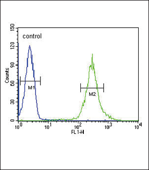 ST8SIA4 Antibody (Center) (Cat. #AP9771c) flow cytometric analysis of HL-60 cells (right histogram) compared to a negative control cell (left histogram).FITC-conjugated goat-anti-rabbit secondary antibodies were used for the analysis.