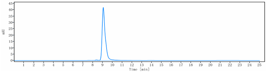 The purity of Anti-ANGPT2 Reference Antibody (nesvacumab)is more than 99.11% ,determined by SEC-HPLC.