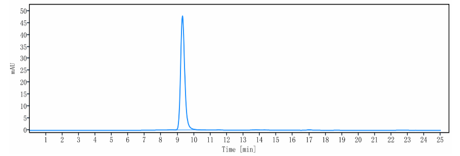 AXL Monoclonal Antibody | TA398787 | OriGene Technologies Inc.