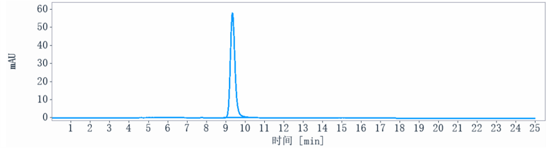 The purity of Anti-TNFRSF7 / CD27 Reference Antibody (varlilumab)is more than 100% ,determined by SEC-HPLC.