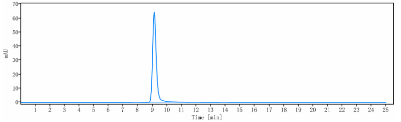 The purity of Anti-IGF1R / CD221 Reference Antibody (Lonigutamab-MMAE)is more than 100% ,determined by SEC-HPLC.
