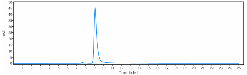 The purity of Anti-Mesothelin Reference Antibody (anetumab-MMAE)is more than 95% ,determined by SEC-HPLC.