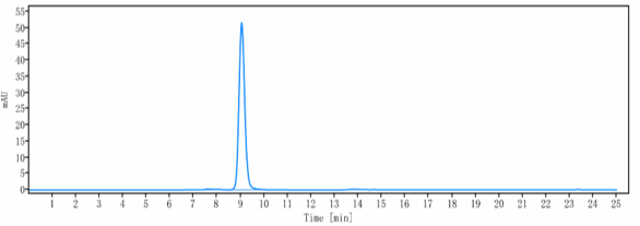 The purity of Anti-CD98 Reference Antibody (Ign523)is more than 95% ,determined by SEC-HPLC.