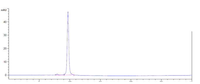 The purity of Anti-TNFSF2 / TNFa Reference Antibody (golimumab)is more than 95% ,determined by SEC-HPLC.