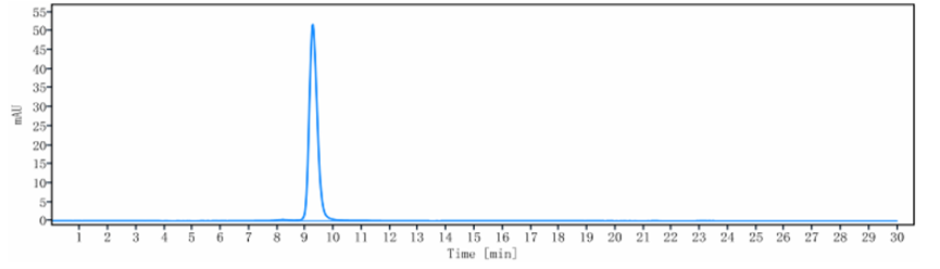 The purity of Anti-ACVRL1 / ALK-1 Reference Antibody (ascrinvacumab)is more than 95% ,determined by SEC-HPLC.