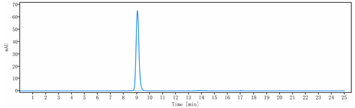 The purity of Anti-LY75 / CD205/DEC-205 Reference Antibody (MEN1309)is more than 95% ,determined by SEC-HPLC.