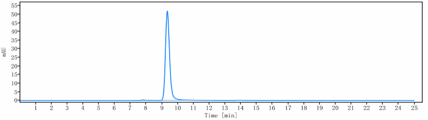 The purity of Anti-LY75 / CD205/DEC-205 Reference Antibody (CDX-1401)is more than 95% ,determined by SEC-HPLC.