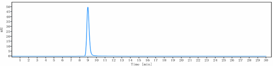 The purity of Anti-CD47 Reference Antibody (CC-90002)is more than 100% ,determined by SEC-HPLC.