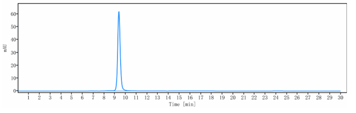 The purity of Anti-Mesothelin Reference Antibody (BMS-986148)is more than 96.7% ,determined by SEC-HPLC.