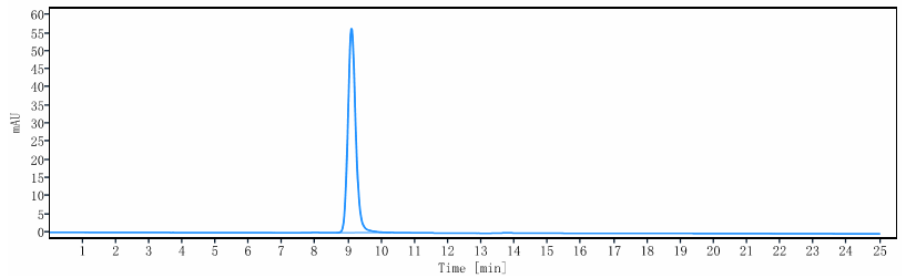 The purity of Anti-RG1 Reference Antibody (19G9)is more than 95% ,determined by SEC-HPLC.