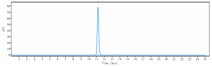 The purity of Anti-GP6 / Glycoprotein-6 Reference Antibody (glenzocimab)is more than 100% ,determined by SEC-HPLC.