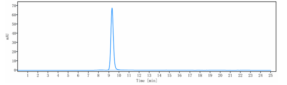 The purity of Anti-B7-H3 / CD276 Reference Antibody (mirzotamAb)is more than 95% ,determined by SEC-HPLC.