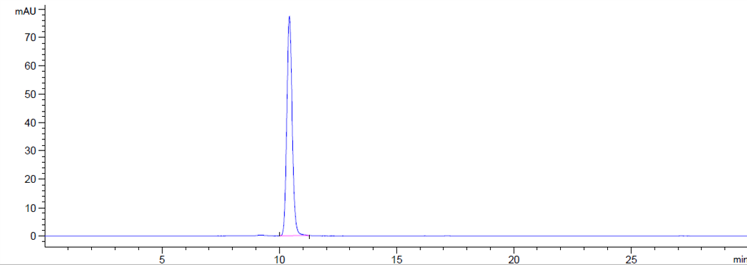 The purity of Anti-AGER / RAGE Reference Antibody (XT-M4)is more than 95% ,determined by SEC-HPLC.