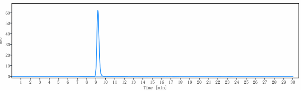 The purity of Anti-CD19 Reference Antibody (Duke U. patent anti-CD19)is more than 95% ,determined by SEC-HPLC.