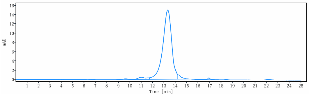 The purity of Anti-MRC2 / CD280 Reference Antibody (Copenhagen Rigshospitalet patent anti-uPARAP)is more than 95% ,determined by SEC-HPLC.