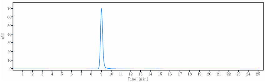 The purity of Anti-PDGFB Reference Antibody (MOR-8457)is more than 95% ,determined by SEC-HPLC.