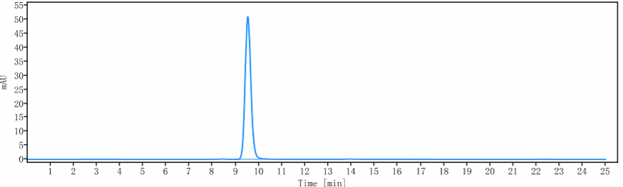 The purity of Anti-TIE2 / CD202b Reference Antibody (Regeneron patent anti-TIE-2)is more than 95% ,determined by SEC-HPLC.