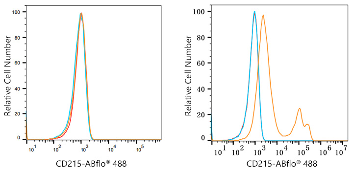 IL15RA Rabbit Monoclonal Antibody [Clone ID: 3I6D1] | TA427773 ...