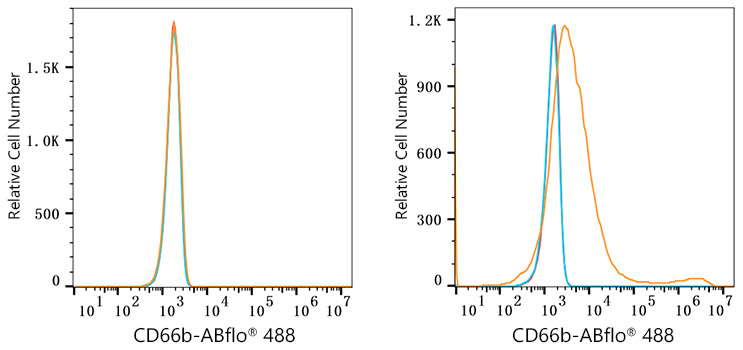 CEACAM8 Rabbit Monoclonal Antibody [Clone ID: 9Z0N5] | TA427782 ...