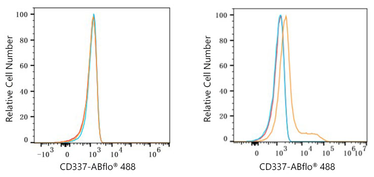 NCR3 Rabbit Monoclonal Antibody [Clone ID: 2M7I7]