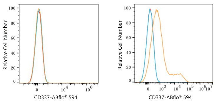 NCR3 Rabbit Monoclonal Antibody [Clone ID: 3C2E5]