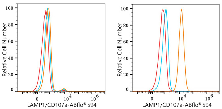LAMP1 Rabbit Monoclonal Antibody [Clone ID: 1R6F2]