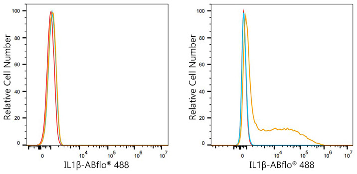 IL1B Rabbit Monoclonal Antibody [Clone ID: 8Q2P5]